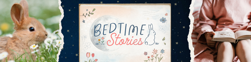 Bedtime Stories