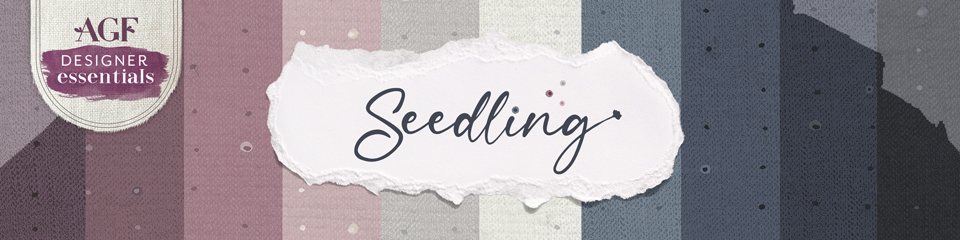 Seedling