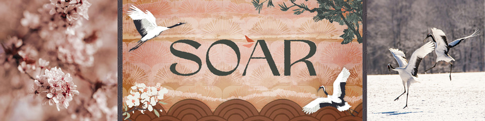 Soar - Fabric