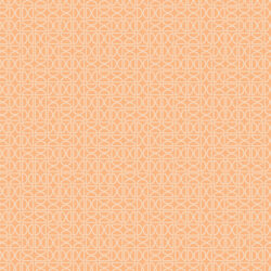Art Gallery Fabrics - Zesty Wedges Tang TAN69906