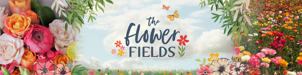 The Flower Fields