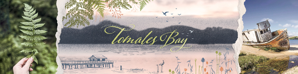 Tomales Bay