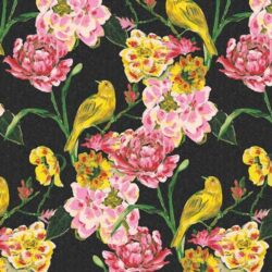 Alternative view of Art Gallery Fabrics - Carolina Wren Dusk CTT46708