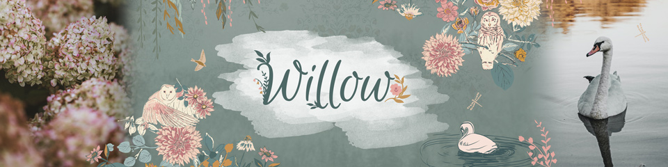 Willow